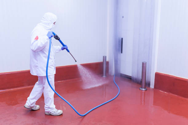 Best Soft Washing  in Grangeville, ID